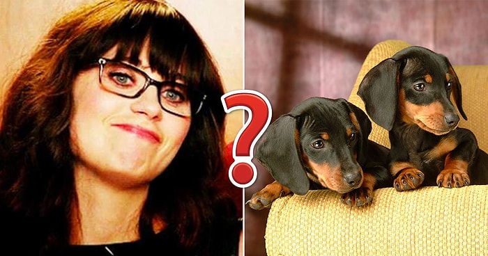 Каждый второй человек не способен набрать в этом тесте на общие знания даже 6/10, а что насчет вас?