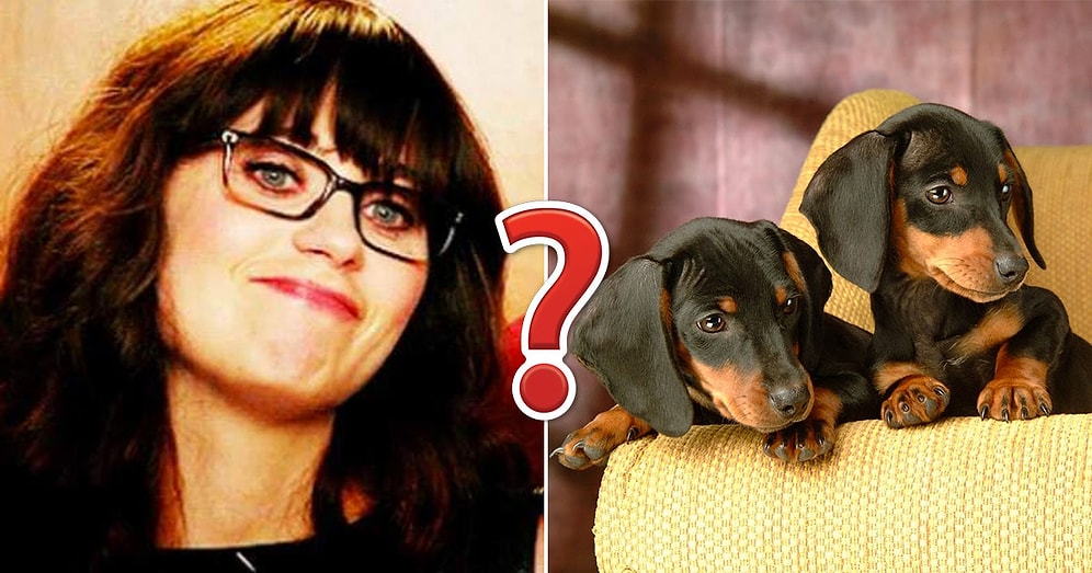 Каждый второй человек не способен набрать в этом тесте на общие знания даже 6/10, а что насчет вас?