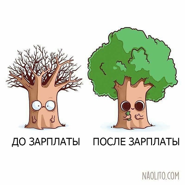 3. До и после зарплаты