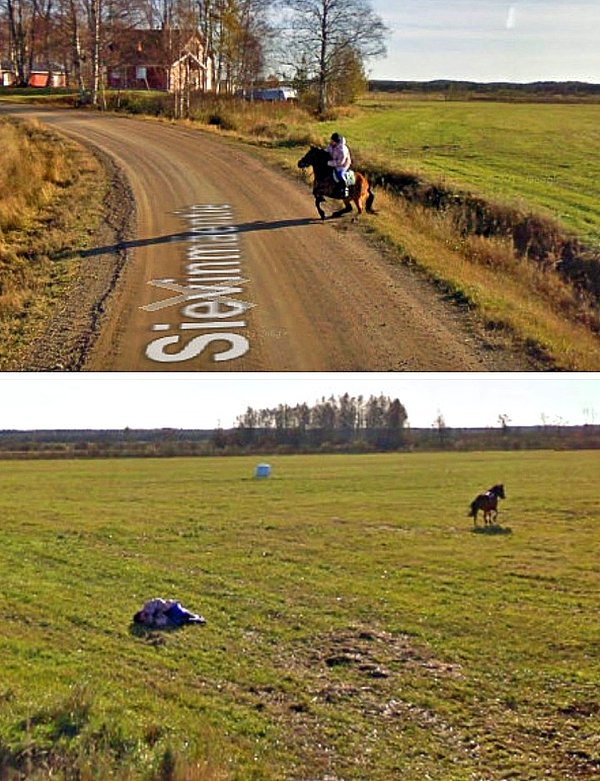 16. Google Sokak Görünümü bir at ile karşılaşırsa ne olur?
