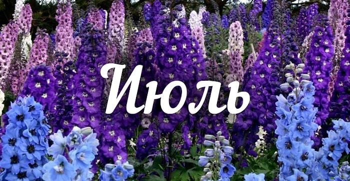 Узнайте свой цветочный знак зодиака и что он означает!