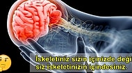 Beyninizde Kelebekler Uçmasına Sebep Olacak 13 İlginç Bilgi!