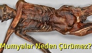 Cevabını Milyonların Merak Ettiği ama Çok Az İnsanın Gerçekten Bildiği 12 Bilimsel Soru