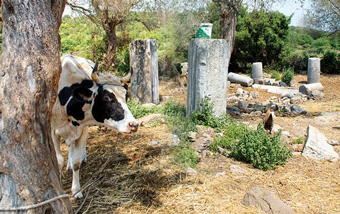 Bu da Oldu! Definecilerin Talan Ettiği 2.500 Yıllık Bargylia Antik Kenti 35 Milyon TL'ye Satışa Çıkarıldı