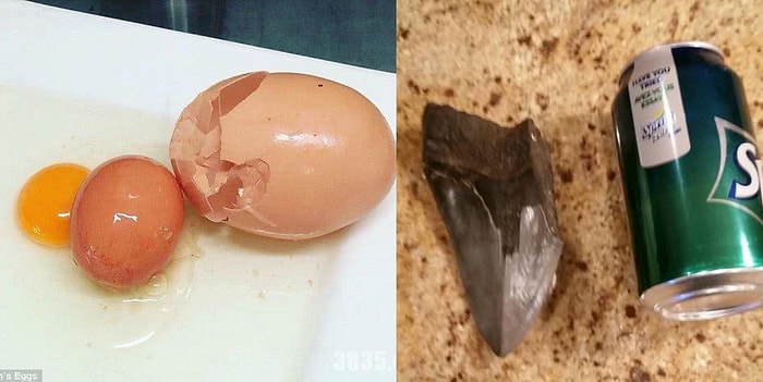 13 самых удивительных находок, которые вы когда-либо видели