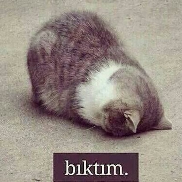 Sıkılırım.
