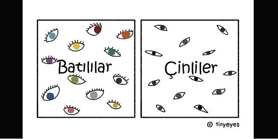 Çinlisin Bir Kere Zekisin! Çinliler ve Batılılar Arasındaki 15 Fark!