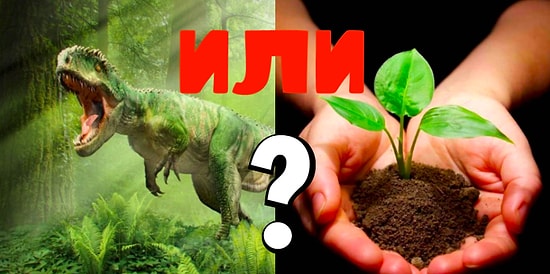 Динозавр или растение? Только гении биологии смогут пройти этот тест на 10/10