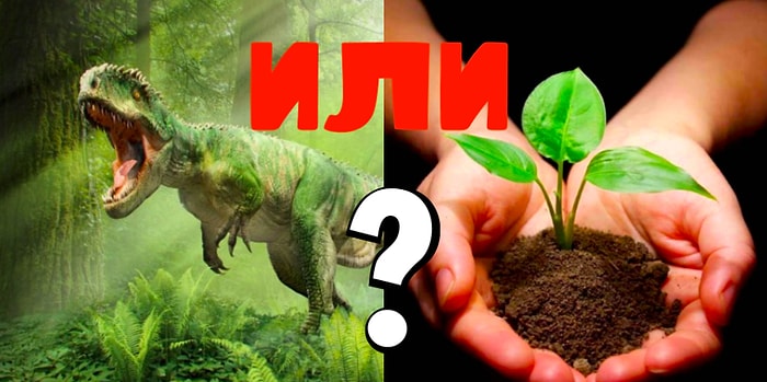 Динозавр или растение? Только гении биологии смогут пройти этот тест на 10/10
