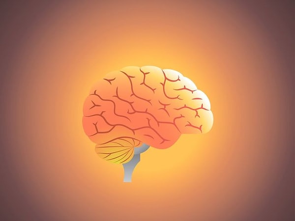 8. Сколько будет половина четверти одной десятой от 400?