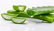 Cildinin Yaşam Kaynağı Aloe Vera Bitkisini Daha İyi Tanıyalım!