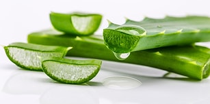 Cildinin Yaşam Kaynağı Aloe Vera Bitkisini Daha İyi Tanıyalım!