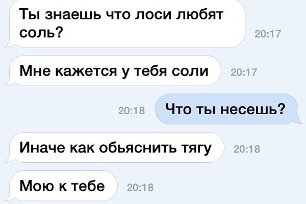 5. Даже лоси сделали бы мощный фейспалм, увидев эту переписку