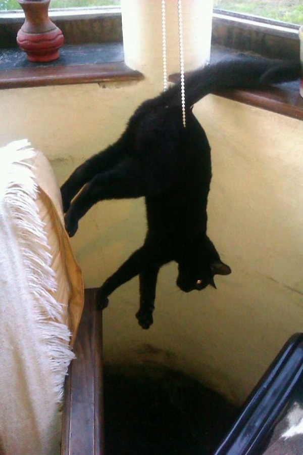 24. "Хотел встретить жену, но даже не дошел до подоконника"