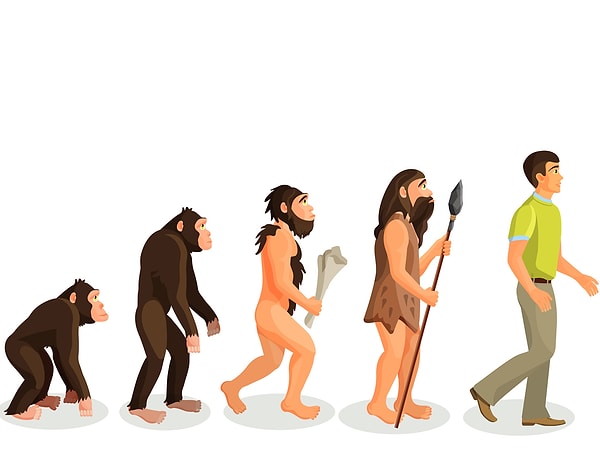 14. Кто в одной из своих книг сформулировал теорию эволюции?