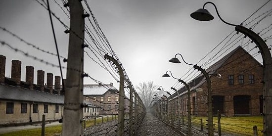 Выжившие в аду: Люди, которым удалось остаться в живых в немецких концлагерях