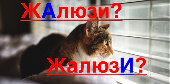 Тест: Если вы знаете, как правильно произносятся все слова этого теста, то ваша грамотность на высшем уровне!