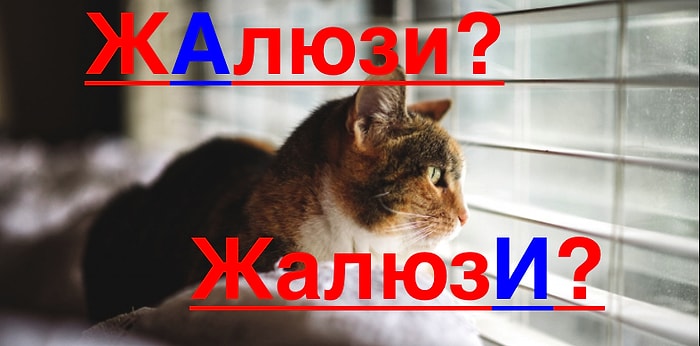 Тест: Если вы знаете, как правильно произносятся все слова этого теста, то ваша грамотность на высшем уровне!