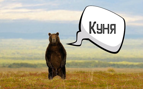 5. Хабаровский край: