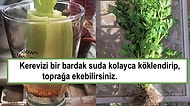 Bahçe ve Bitki İşlerinde Sizi Bir Peyzaj Mimarı Gücüne Erdirecek 23 Pratik Tüyo