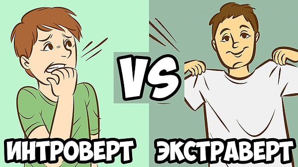 4. Вы интроверт или экстраверт?