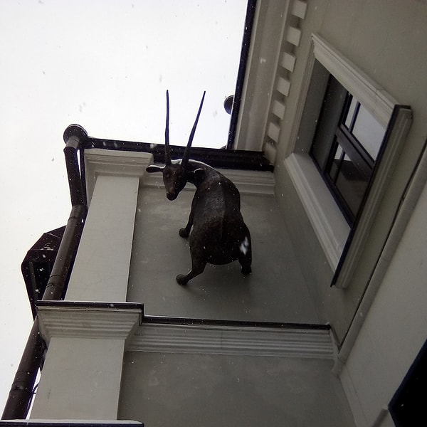 17. Что смотрите? Вызывайте экзорциста!