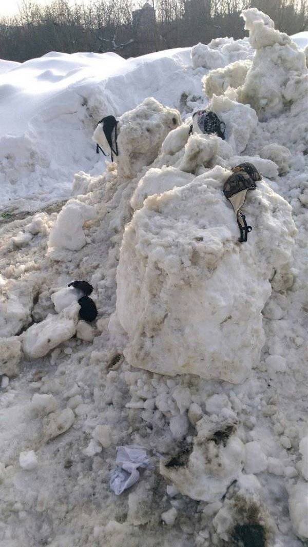 20. Весна... Появились первые подснеж... СТОП!