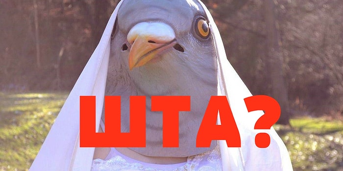 Эти 20 фото вызывают только один вопрос: что здесь вообще происходит?