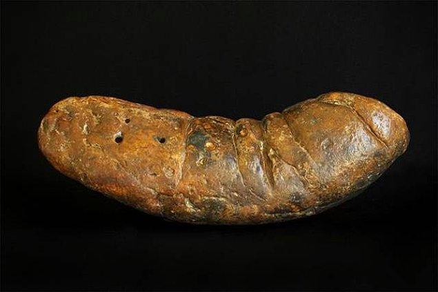 11. Arkeologlar buldukları fosilleşmiş kakalara "Koprolit" adını verirler.