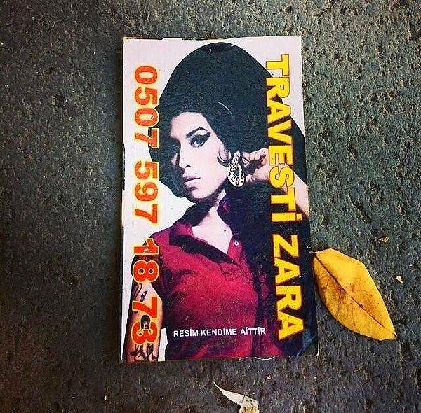 13. Ankara'nın doğal bitki örtüsünde bir Amy Winehouse...