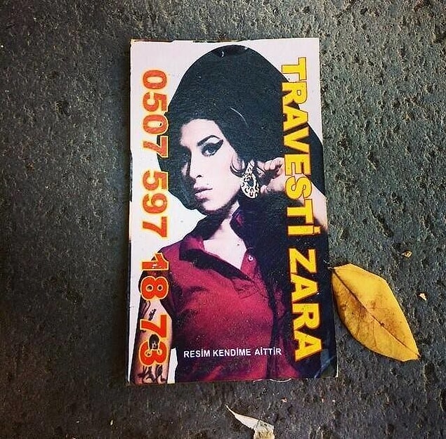 13. Ankara'nın doğal bitki örtüsünde bir Amy Winehouse...
