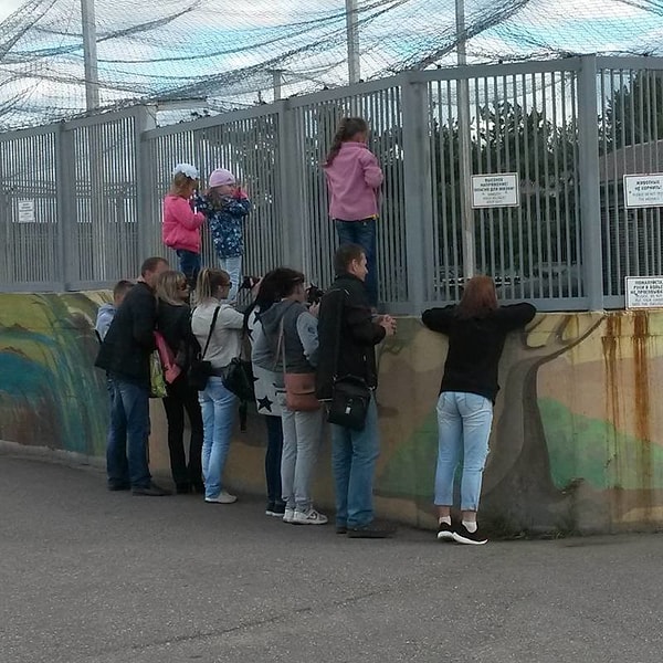 2. Правильно, кому вообще нужны эти дети? Надо было не ставить их к решетке со зверями, а сразу кинуть в вольер. Чего мелочиться-то?