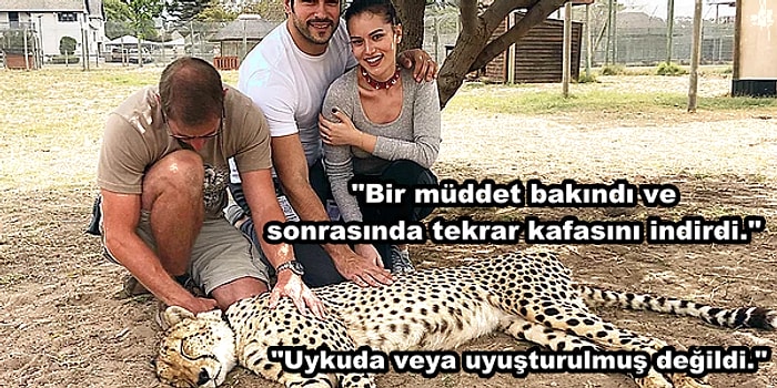 Sosyal Medyayı Bir Süredir Meşgul Eden Hayvan Eziyeti Tartışmasına Fahriye Evcen'den Cevap Geldi!