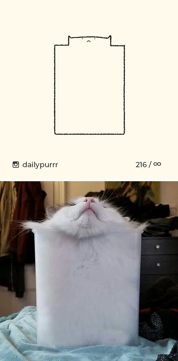 3. Кот в квадрате.