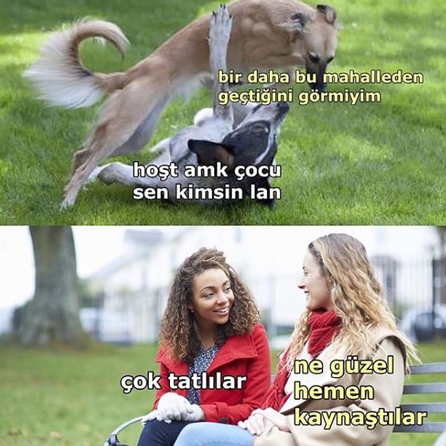 3. Ah, ne de güzel anlaştılar.