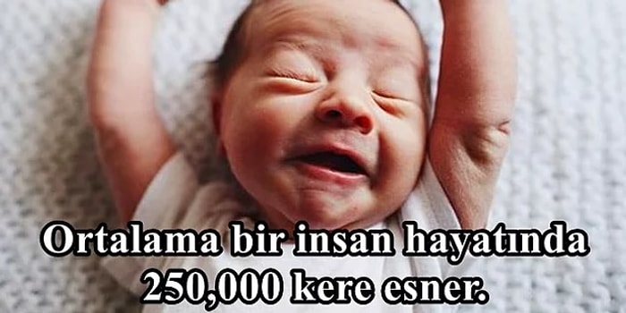 Yaşayıp Gidiyoruz! Hayat İle İlgili Kolay Fark Edilmeyen, Damlaya Damlaya Göl Olan 25 An