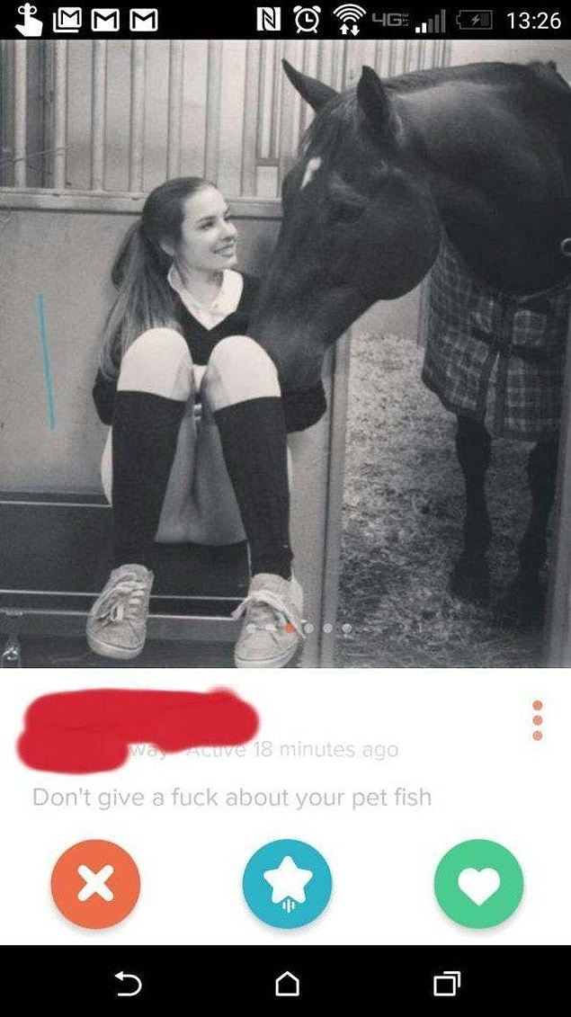 1. Evcil mi at?