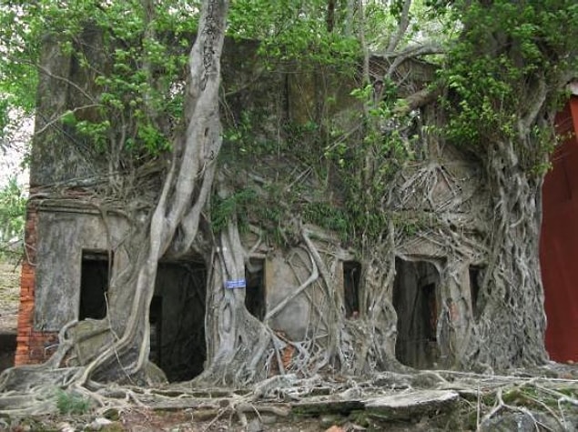 5. Ross Adası, Güney Andaman Bölgesi