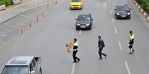 Yolun Karşısına Geçemeyen Köpeğe Yardım Eden Trafik Polisi