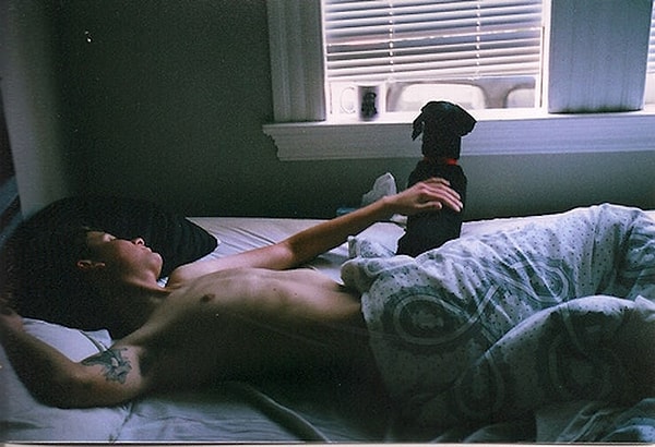 7. Он игнорирует все ваши просьбы