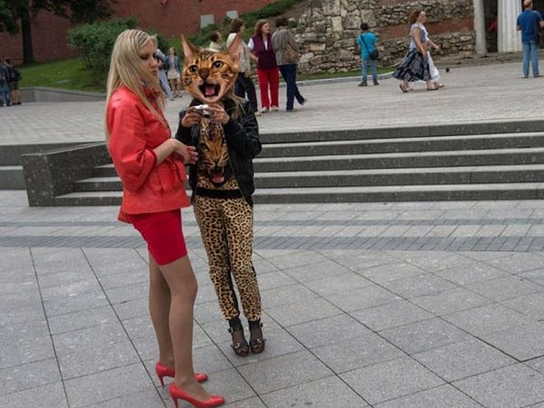 7. Кошки вышли поохотиться!