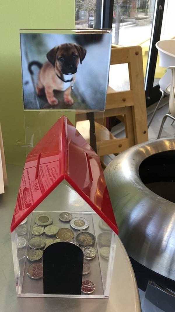 5. С собакой все понятно, но на что скидываемся-то? 😑