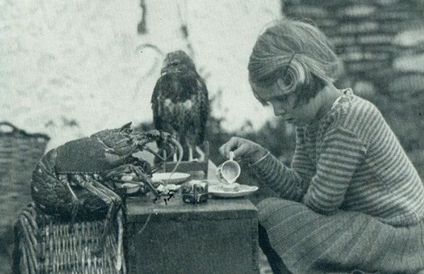 Genç Ann Lockey düzenlediği çay partisinde, konukları ise bebek bir şahin ve ıstakoz, Galler'deki Skokholm adasında, 1938.