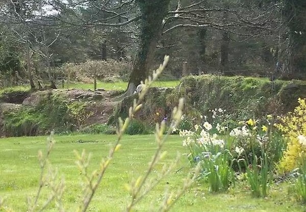 1. Итак, нашли животное на этой картинке?