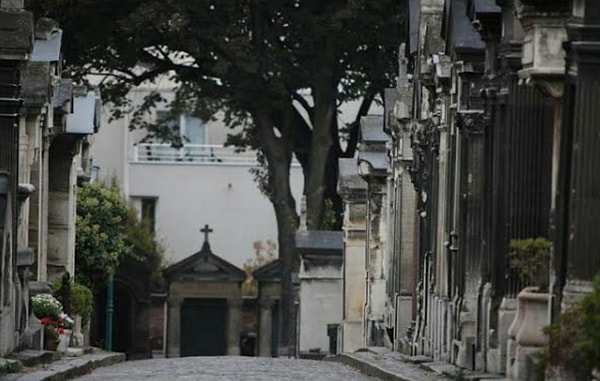 4. Обнаружили спрятавшееся животное тут?