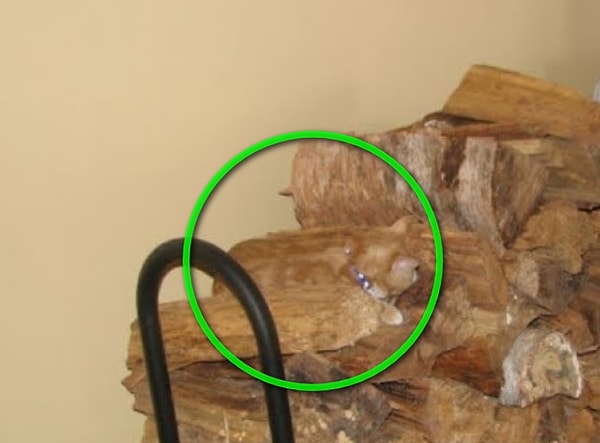 Посмотреть правильный ответ: