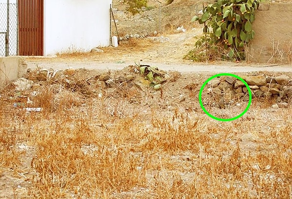 Посмотреть правильный ответ: