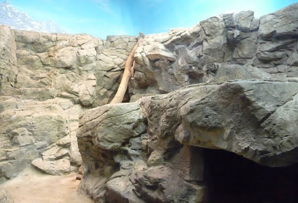 8. И, наконец, увидели тут кого-либо?