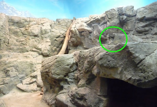 Посмотреть правильный ответ: