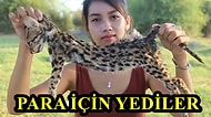 Hepsi YouTube'dan Para Kazanmak İçin! Nesli Tükenmekte Olan Hayvanların Derilerini Yüzüp Yiyen Kadın